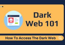 Dark Web 101: How To Access The Dark Web