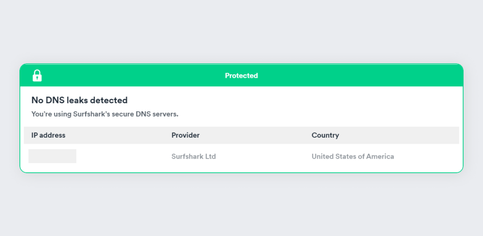 DNS & Leak Protection