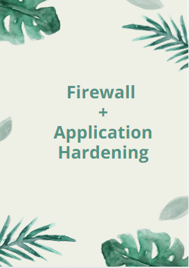 secure a website Firewall + application hardening