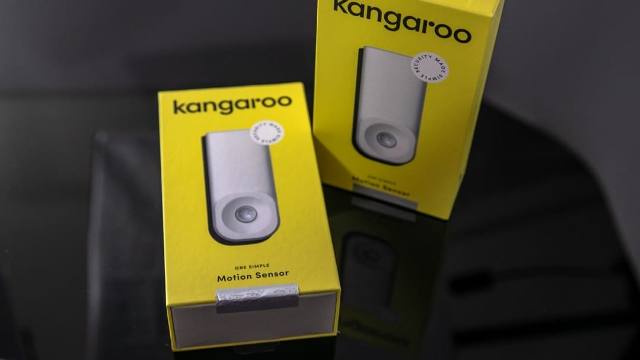 Kangaroo home security review