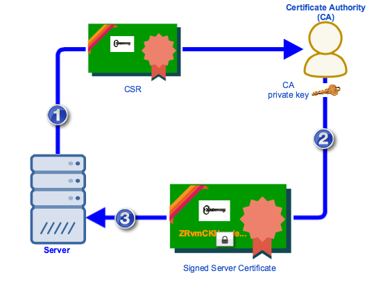 how do Certificate Authority work