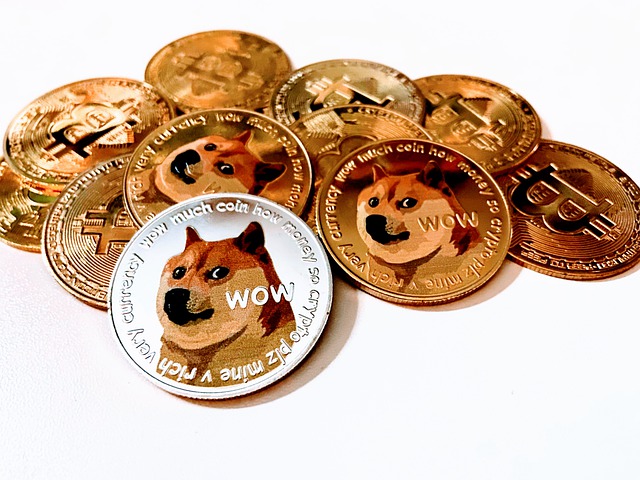 What Is Dogecoin Its Advantages And Disadvantages