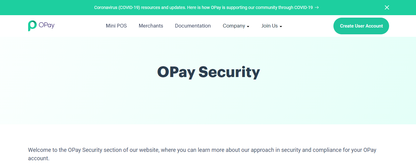Secure Your OPay Account