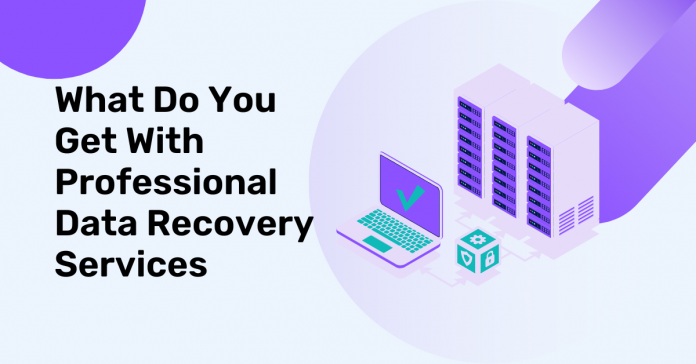 What Do You Get With Professional Data Recovery Services