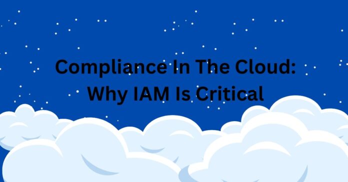 Compliance In The Cloud: Why IAM Is Critical