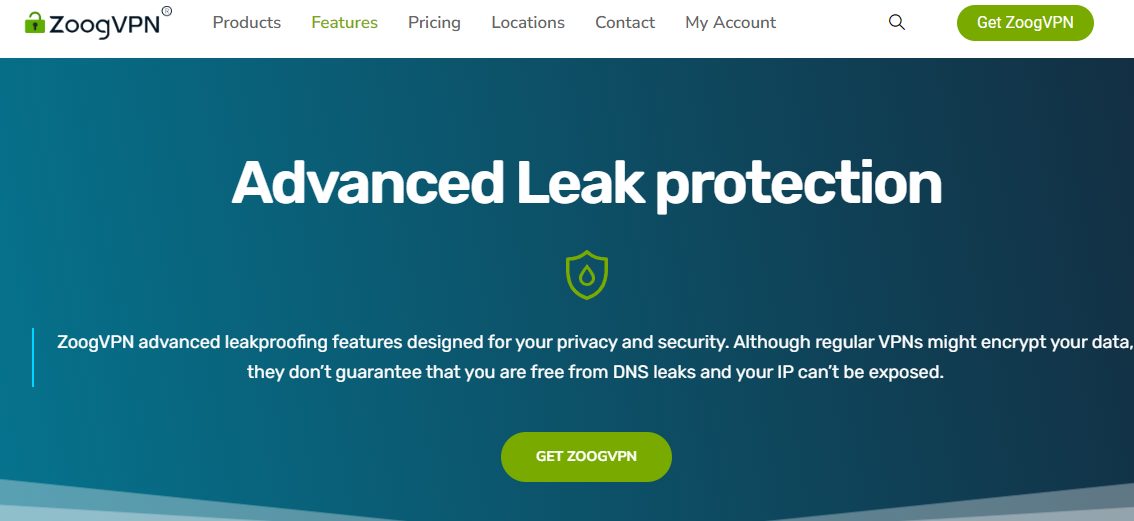 IP Leak Protection 
