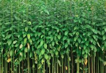 Green Business 101: How to Make Your Company Eco-Friendly Green Business 101 How to Make Your Company Eco-Friendly
