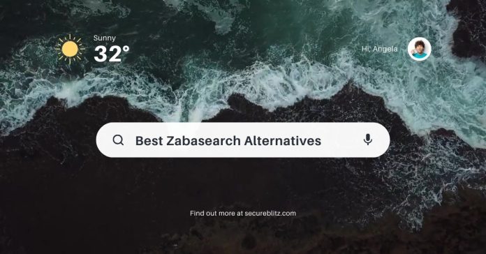 9 Best Zabasearch Alternatives You Should Know