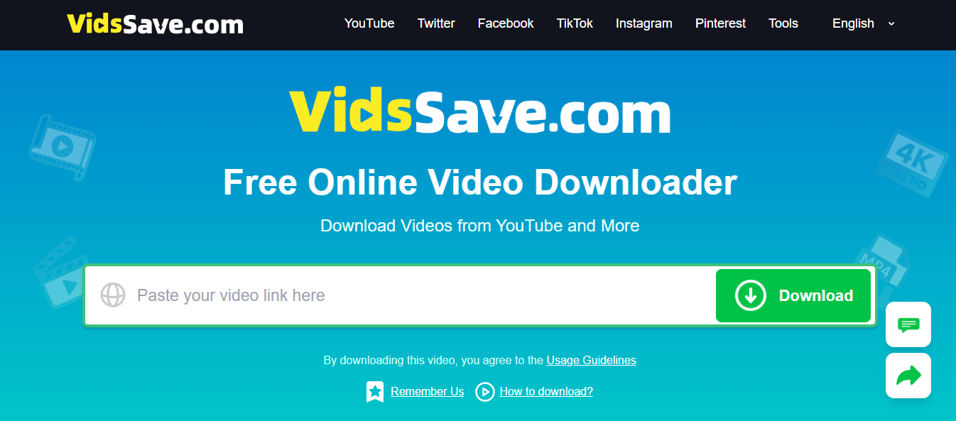 What is VidsSave?