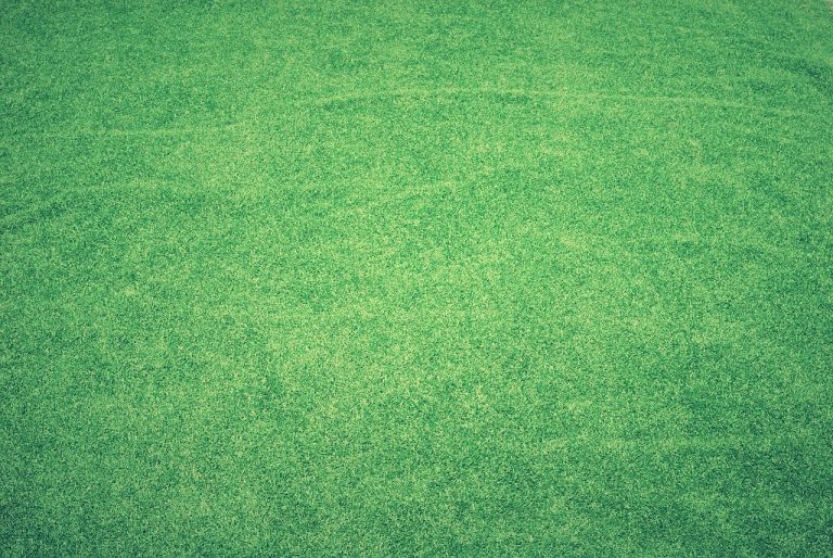 How Artificial Grass Helps Reduce Allergens and Create Cleaner Outdoor Environments