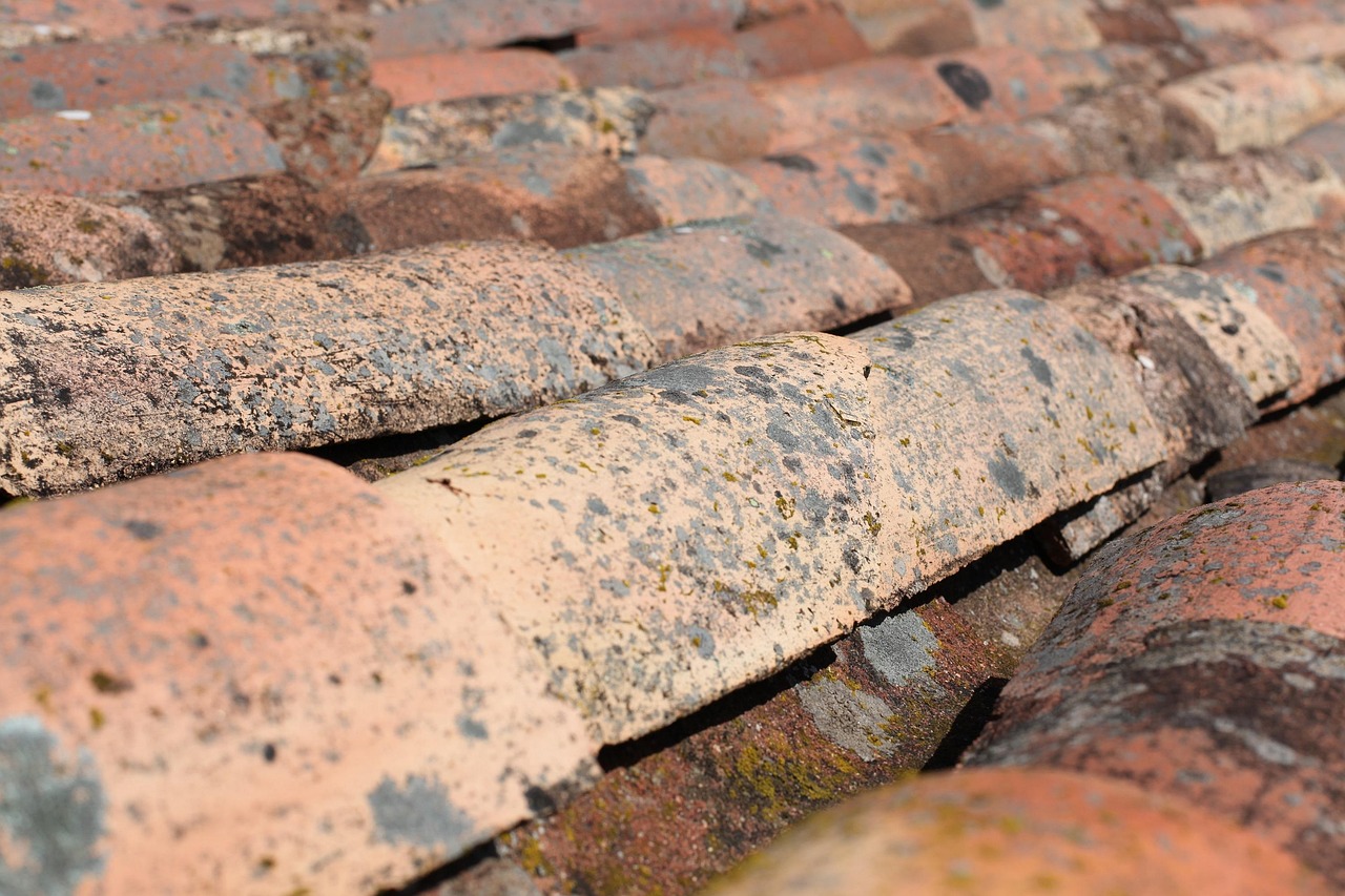Why Roofing Issues Tend to Escalate Quickly